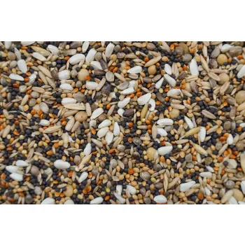 Gold Wings Karma Mieszanka Oleista dla gołębi 20kg